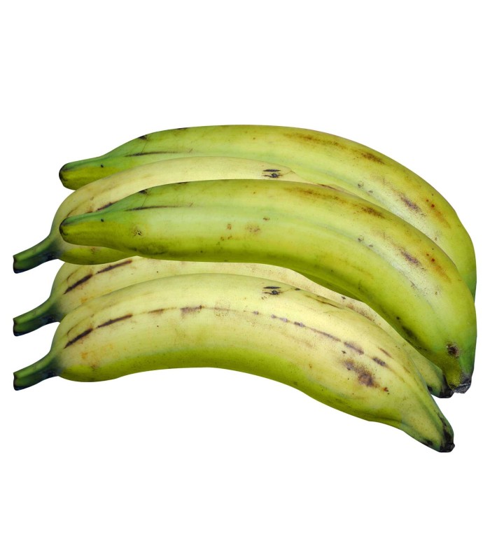 Plátano macho (5 plátanos)