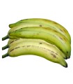 Plátano macho-hembra (5 unidades)