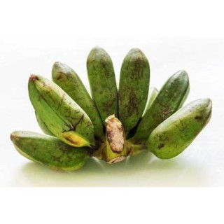 Mano de Plátano burro