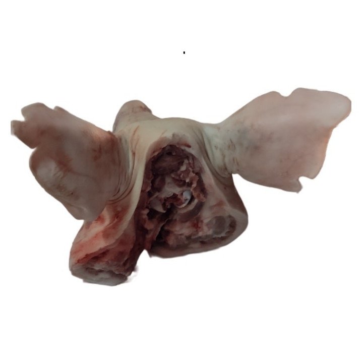 Cabeza de Cerdo – Sabor Intenso para Recetas Cubanas que Honran la Tradición