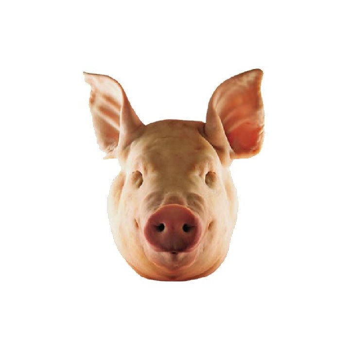 Cabeza de Cerdo – Sabor Intenso para Recetas Cubanas que Honran la Tradición