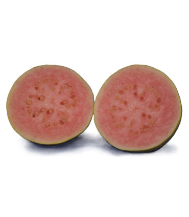 Guayaba Troceada (1 Kg) 🍈✨