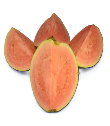 Guayaba Troceada (1 Kg) 🍈✨