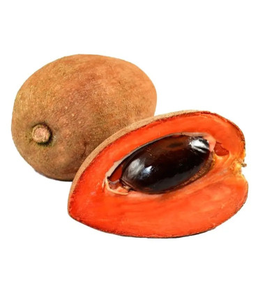 Pulpa de Mamey Colorado (600 g) – Natural y Lista para Disfrutar