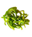 Tiras de pimiento congeladas (400 g)
