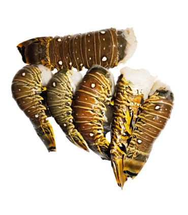 Langostas en mazo (según peso)