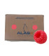 Helado de Frambuesa “Alask” (4 L) – Sabor Intenso que Refresca y Rinde