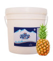 Yogur probiótico sabor Piña "Alask" (4 L)