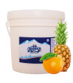 Yogur probiótico sabor Naranja-Piña "Alask" (4 L)