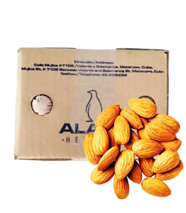 Helado de Chocolate con Almendras "Alask" (4 Litros)