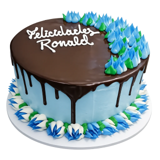 cake decorado personalizado con chocolate para enviar a Cuba pastel para cumpleaños familiar