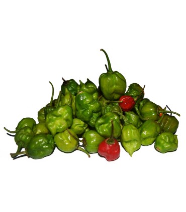 Ají cachucha (100 g)