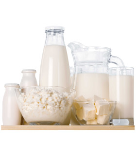 Lácteos