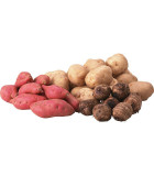 Viandas